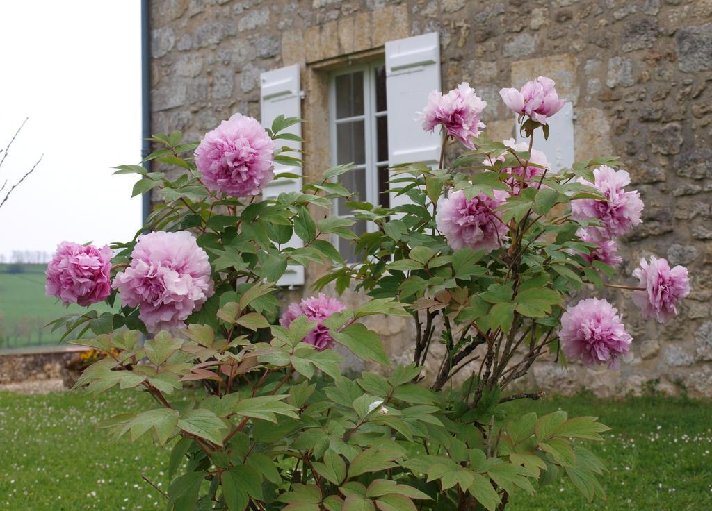 Lacassagne Bed & Breakfast Larressingle Exterior photo